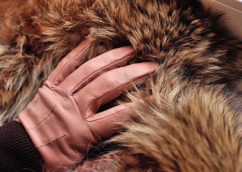 tan gloves