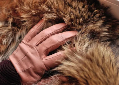 tan gloves