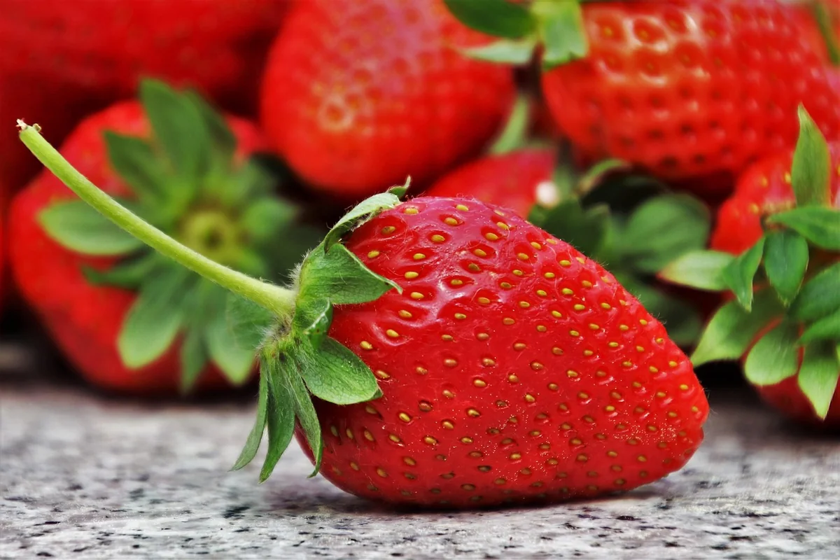 Ernährung: Mehr als nur Kalorien
