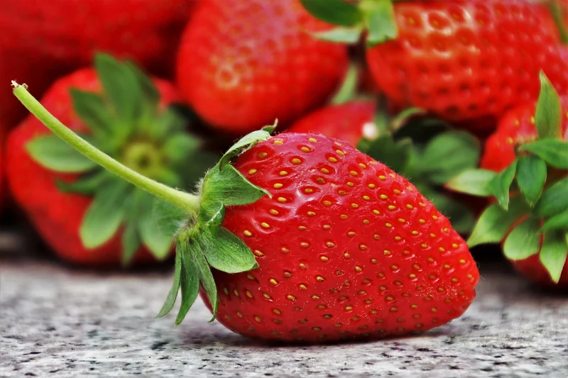 Ernährung: Mehr als nur Kalorien
